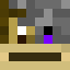 Minecraft players skin