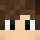 BochelMan Minecraft head