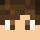 DominiikF Minecraft head