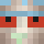 DWDT Minecraft head
