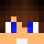 Minecraft players skin