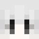 avatar Attendant skin