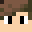 Soancraft