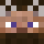 WojtekxD Minecraft head