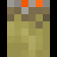 Minecraft players skin