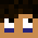 Nerver_PL