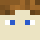 Sacrosanct Minecraft head