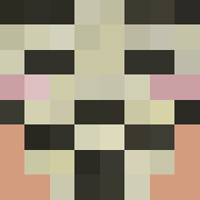 Minecraft profile picture for @Zarba