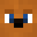 Provensis Minecraft-head