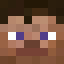 FlamingFox545