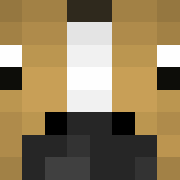 Minecraft profile picture for @Inquiries