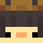 Duck4Ever Minecraft head