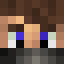 Minecraft players skin