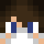Minecraft players skin