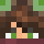 FasterNight Minecraft head