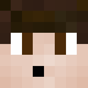 Minecraft profile picture for @Rally