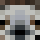 DobbyBlack Minecraft head