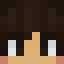 Minecraft head of fuib