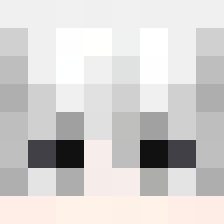 gamerhoi33