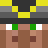 genericmaps63 Minecraft avatar