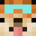 Avatar gracza helohilosilo