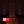 hxvico
