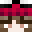 iiROSEii Minecraft avatar