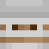 immortalflash