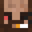 Skin de ims1607