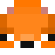 skin gracza