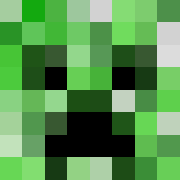 skin gracza