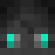 skin gracza