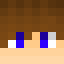 lenslitop1