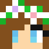 Builder Skin