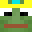 loiloi