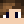 minecatdude