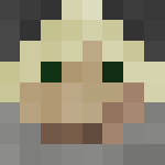 Photo de profil de minecrafter2001