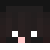 minibesk5