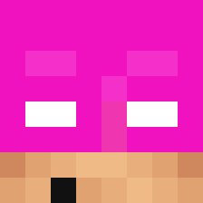 mr_vogelbekdier