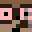 nsvw Minecraft avatar
