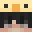 paydn Minecraft avatar