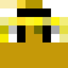 pikaflor2