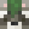 Skin de rakkonv1