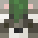 Skin de rakkonv1