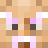 sajuna04 Minecraft head