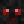 salamanderdingo