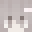 sallyychen Minecraft avatar