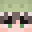 screwcoookies's Minecraft head
