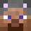 Skin Avatar