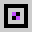sugerwizard11